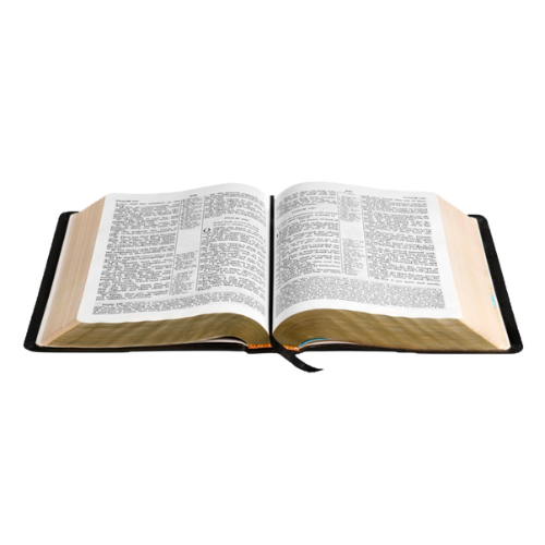 Bible Transparent (1)